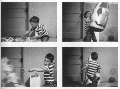 psychology experiment ideas for students