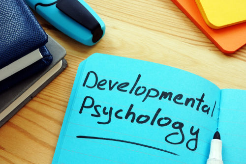 developmental psychologists study