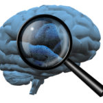 brain with magnifying glass over it.
