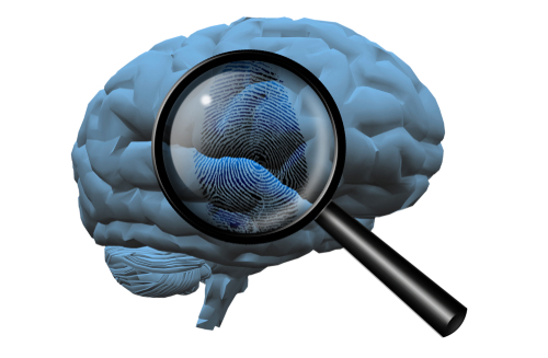 brain with magnifying glass over it.