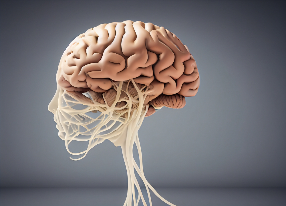 Neuropsychology and Changing Views of the Brain